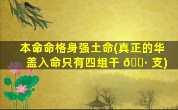 本命命格身强土命(真正的华盖入命只有四组干 🌷 支)